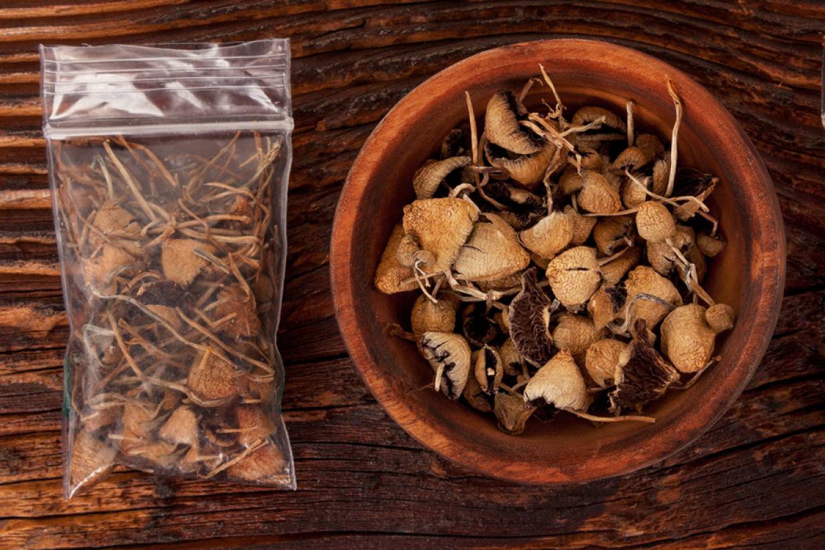 Buy Psilocybin: Magic Mushroom